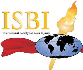 ISBI Website Launch